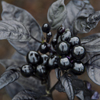 CHILLI BLACK PEARL
